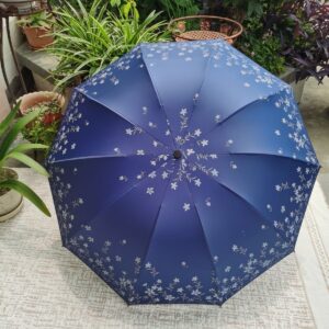 Starry Umbrella